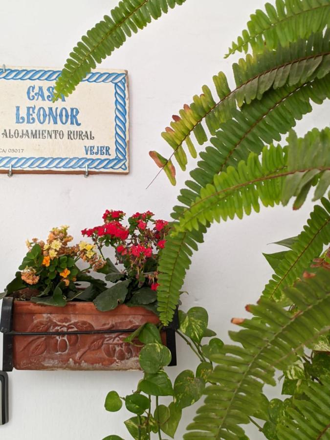 贝赫尔-德拉弗龙特拉Casa Leonor Vejer公寓 外观 照片